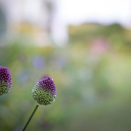 Middle Cottage Southlands Farm Gunnerton 외부 사진