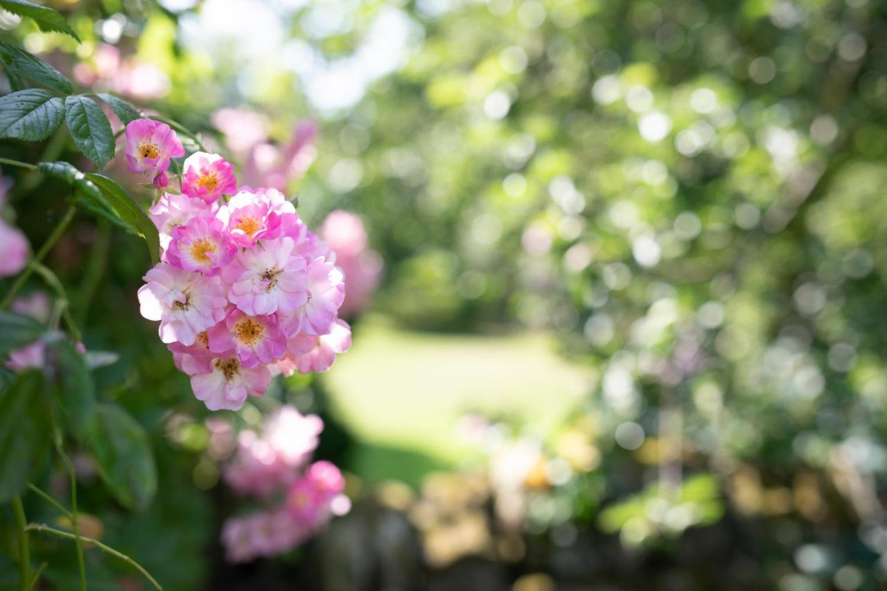 Middle Cottage Southlands Farm Gunnerton 외부 사진